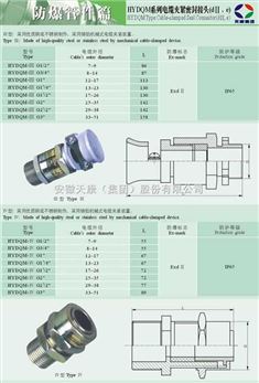 閥門(mén)上帶電線,閥門(mén)上帶電線，專業(yè)評(píng)估解析與Tizen系統(tǒng)性能探討,精細(xì)化策略探討_L版83.28.67