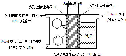 催化劑涂裝