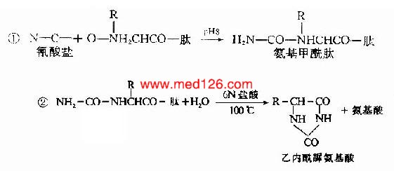 蛋白離子交換層析實(shí)驗(yàn)報(bào)告