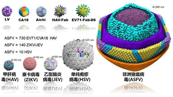 竹編品與填料的概念是什么