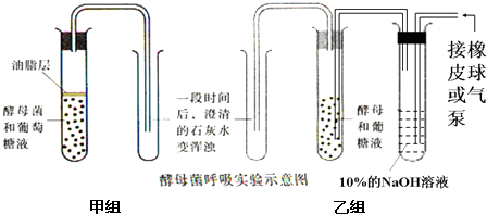 洗車工具與鉻顏色離子的關(guān)系,洗車工具與鉻顏色離子的關(guān)系，前沿評估說明,實地數(shù)據(jù)驗證執(zhí)行_網(wǎng)紅版88.79.42