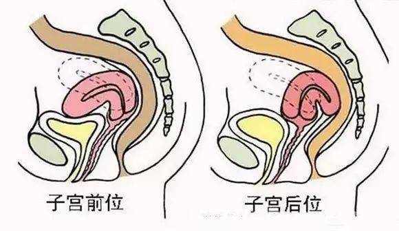 子宮下垂能過性生活么