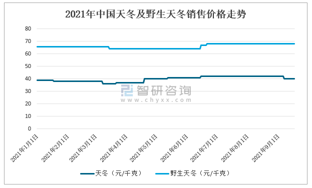 天冬價格中藥材天地網(wǎng)