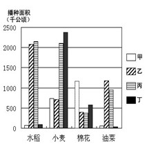 中草藥篩選機