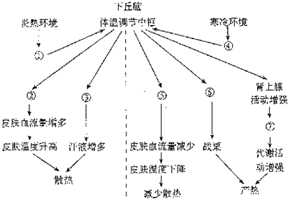 35度體溫正常嗎,關(guān)于體溫正常值的探討，從人體生理到精細(xì)方案實(shí)施的重要性,國(guó)產(chǎn)化作答解釋定義_玉版56.19.22