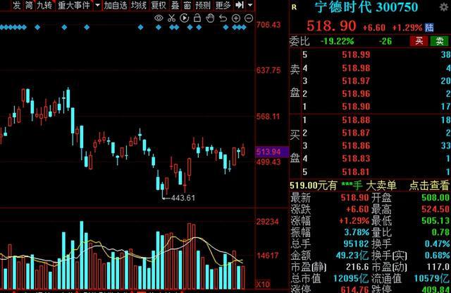 銥與釩離子電池概念股票有哪些,銥與釩離子電池概念股票解析及市場(chǎng)策略應(yīng)對(duì)——活版探討,快速問(wèn)題處理策略_MR79.58.33