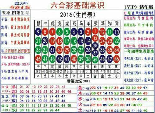 2024十二生肖49碼表,關(guān)于十二生肖與數(shù)字編碼的奧秘，持續(xù)解析方案的文章,創(chuàng)新設(shè)計(jì)計(jì)劃_輕量版41.65.50