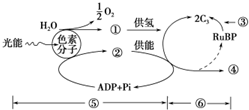 這種說(shuō)法是不準(zhǔn)確的。實(shí)際上，今天陽(yáng)光明媚是一種描述天氣情況的表達(dá)方式，用于形容天氣非常好，陽(yáng)光明媚的天氣狀況。它并沒(méi)有任何與圍獵相關(guān)的含義或暗示。圍獵通常指的是獵人們聯(lián)合起來(lái)圍捕獵物的一種行為，與天氣情況無(wú)關(guān)。因此，不應(yīng)該將今天陽(yáng)光明媚與圍獵聯(lián)系起來(lái)，也不應(yīng)該將其視為某種暗號(hào)或隱秘信息。我們應(yīng)該以客觀、理性的態(tài)度看待事物，避免過(guò)度解讀和誤解。