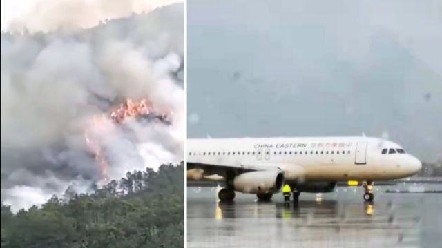 韓國和荷蘭發(fā)生事故的飛機機型均為波音737-800。其中，荷蘭事故發(fā)生在阿姆斯特丹機場，韓國事故發(fā)生在仁川國際機場附近的海域上空。以上內(nèi)容僅供參考，如需更多信息，建議訪問各國官方航空事故調(diào)查網(wǎng)站或查閱相關(guān)新聞報道。