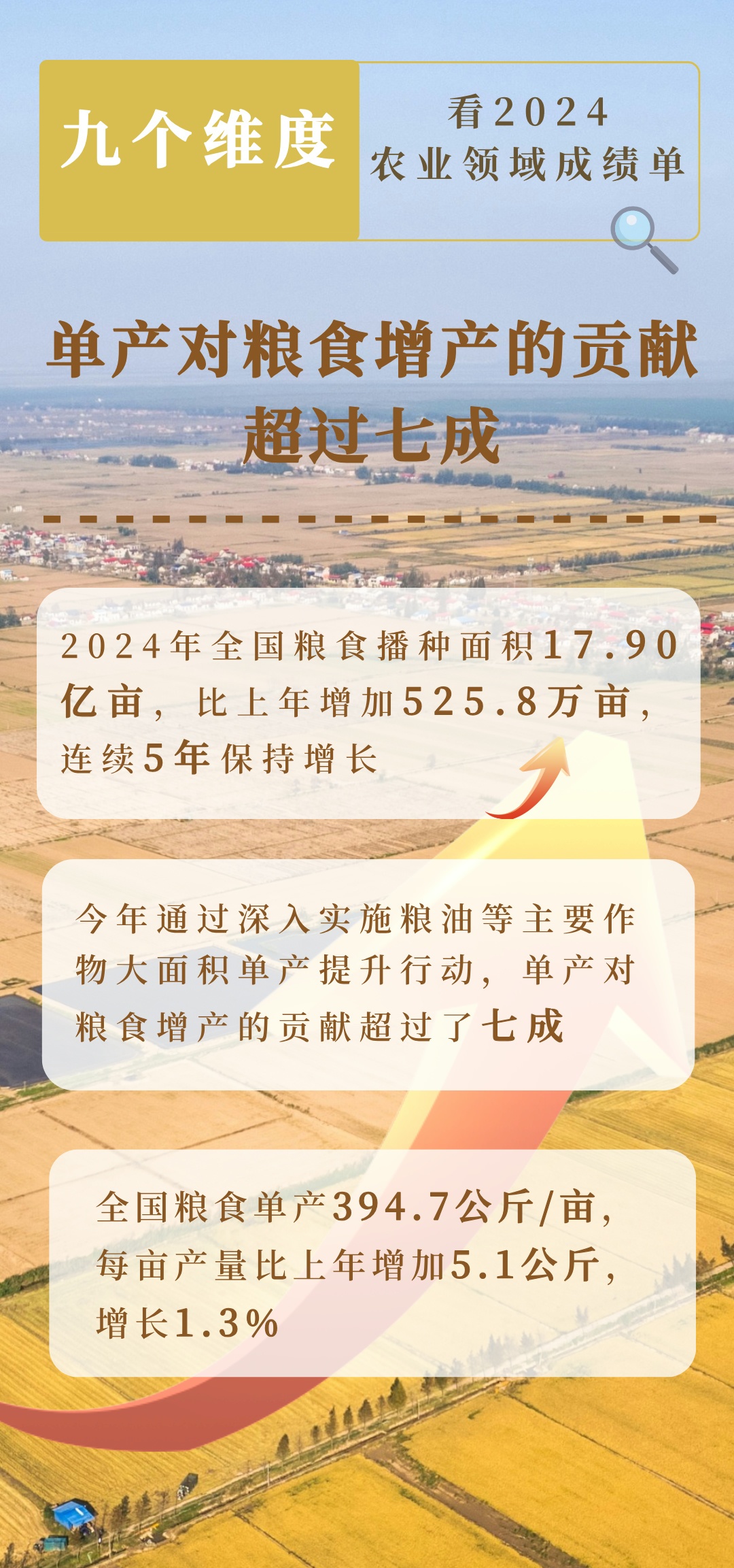 2024農(nóng)業(yè)領(lǐng)域交出亮眼成績(jī)單