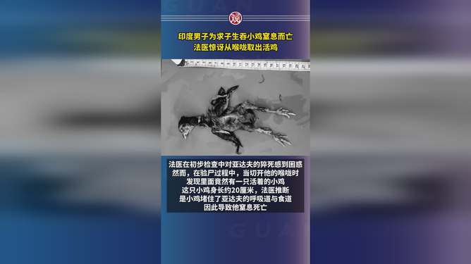 印度男子為求子生吞小雞窒息而亡