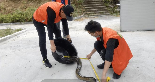 男子撞死二級保護動物被判賠1.5萬