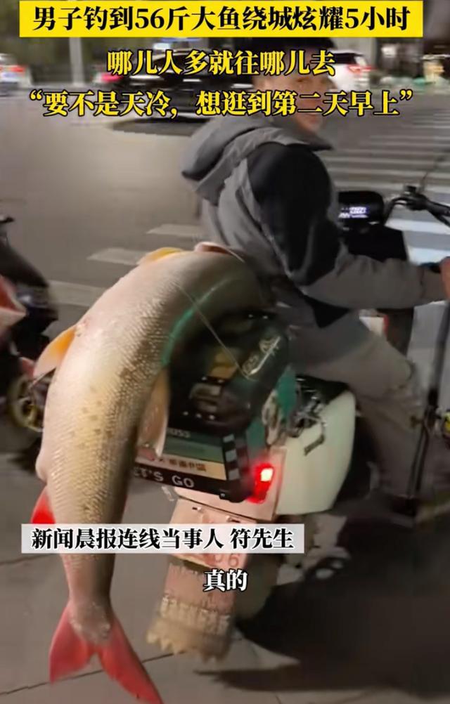 男子釣到56斤鳡魚繞城5小時(shí)炫耀