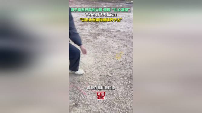 男子賣(mài)大鵝遭“扎心凝視”后放生