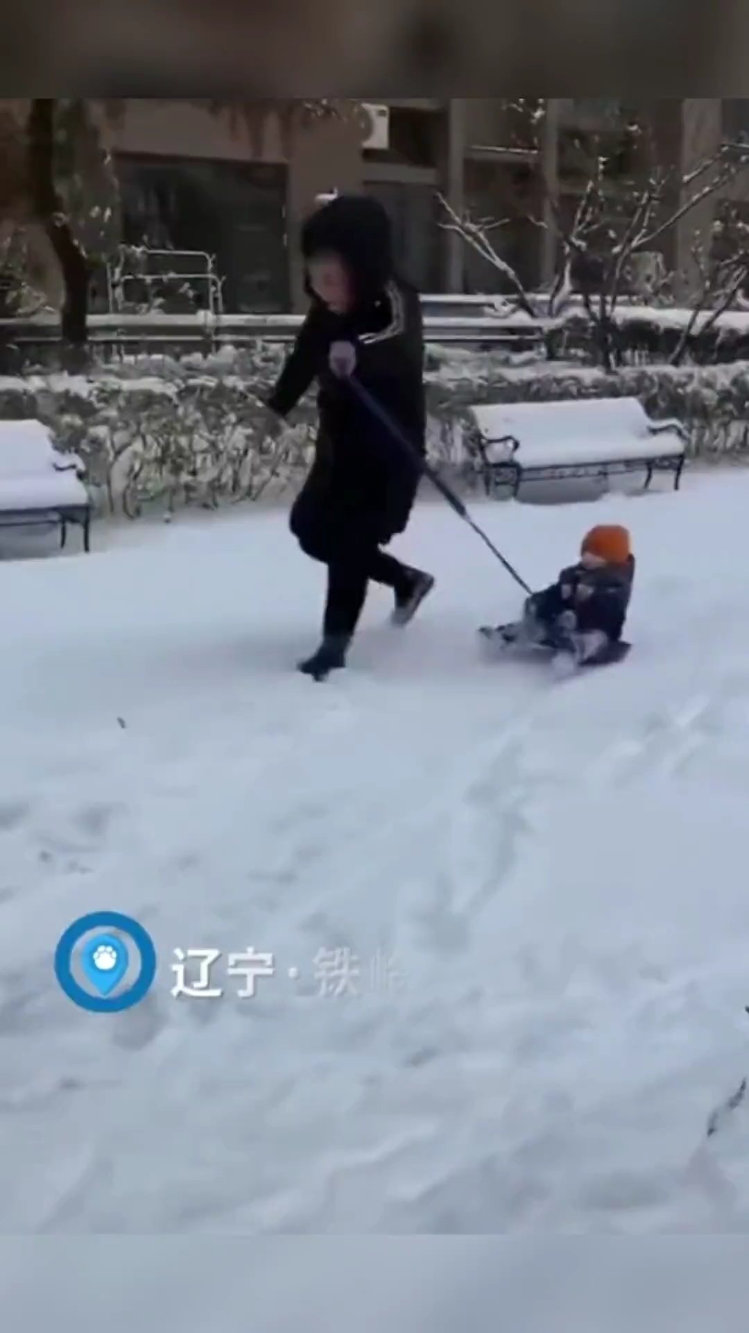 爸爸帶娃滑雪撬主打一個相互信任