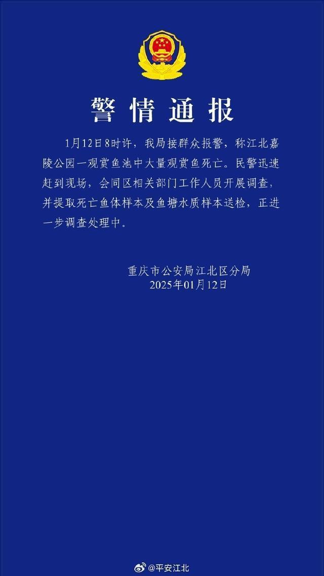 警方通報錦鯉大批死亡：人為投毒