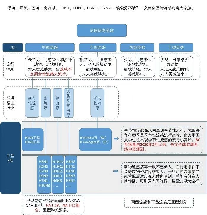 流感病毒中甲流傳染性最強