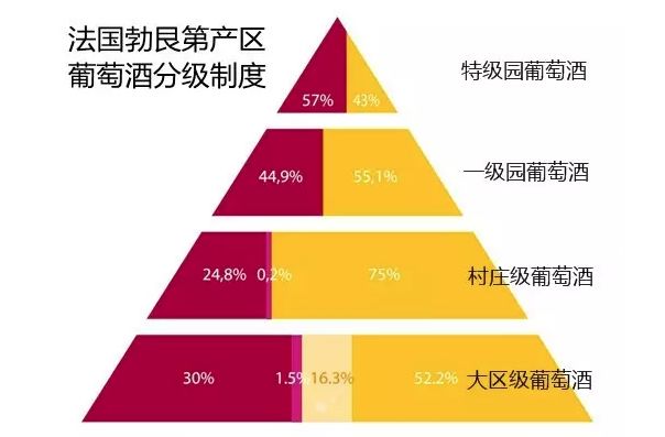 澳門今天晚上開(kāi)什么特馬,快速解答策略實(shí)施_9DM97.41.93